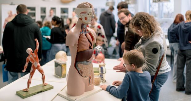 Stein-Schule öffnet Türen – und zeigt, was in ihr steckt