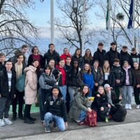 Bild-Vorschau