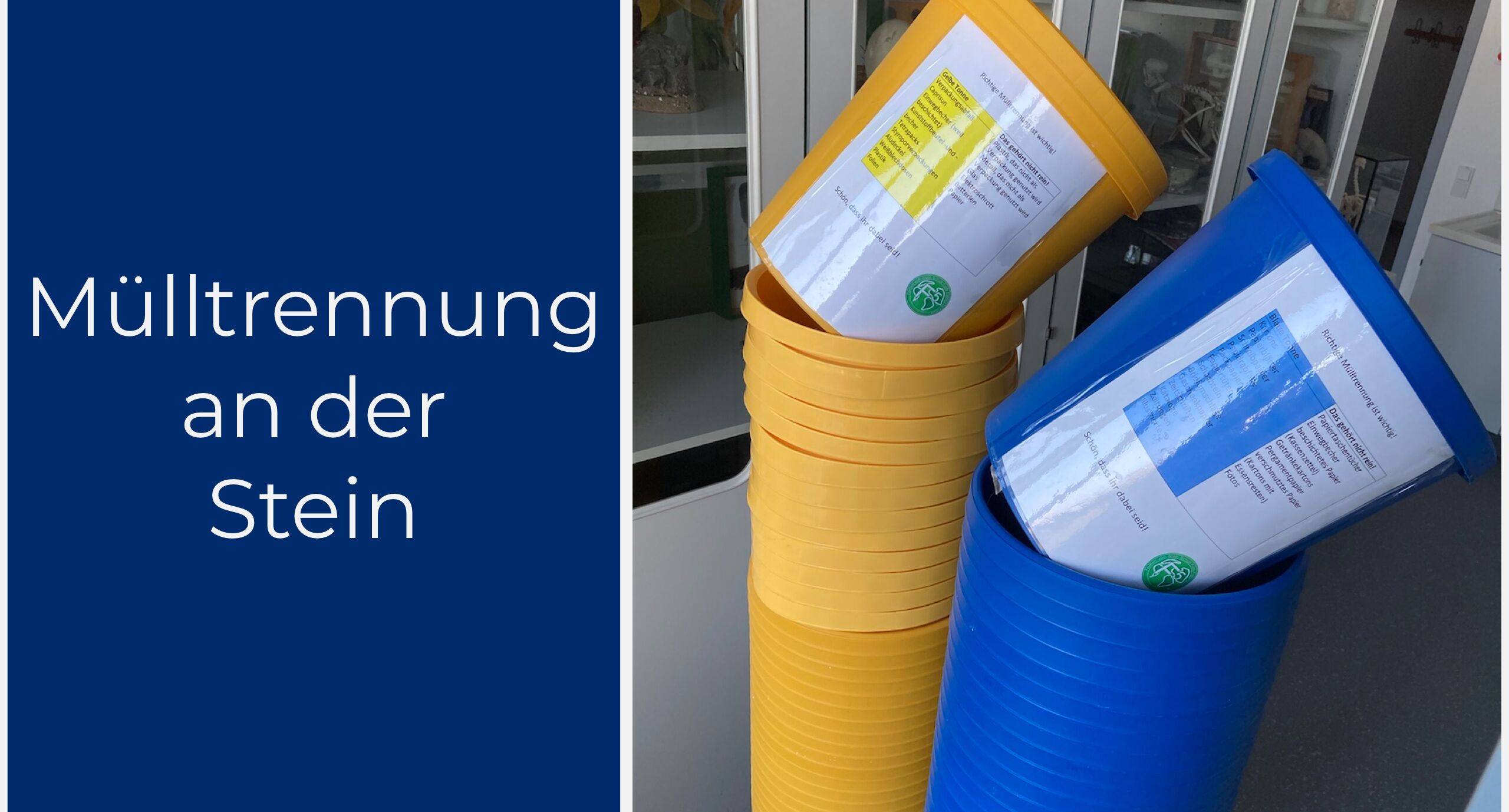 Mülltrennung in der Schule