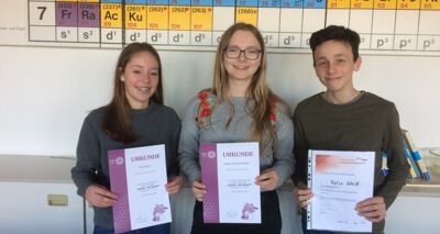 Stein-Schüler erneut bei Chemiewettbewerben erfolgreich!