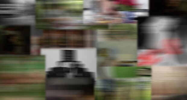 Illusionen - Kontrast der Realitäten